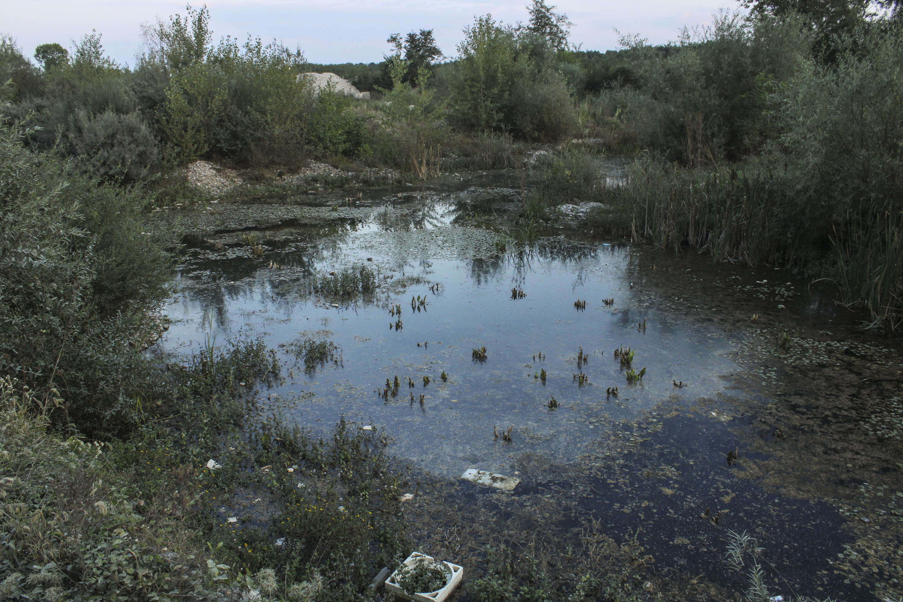 Riječne bare nastale uništavanjem riječnog korita Pećke Bistrice.